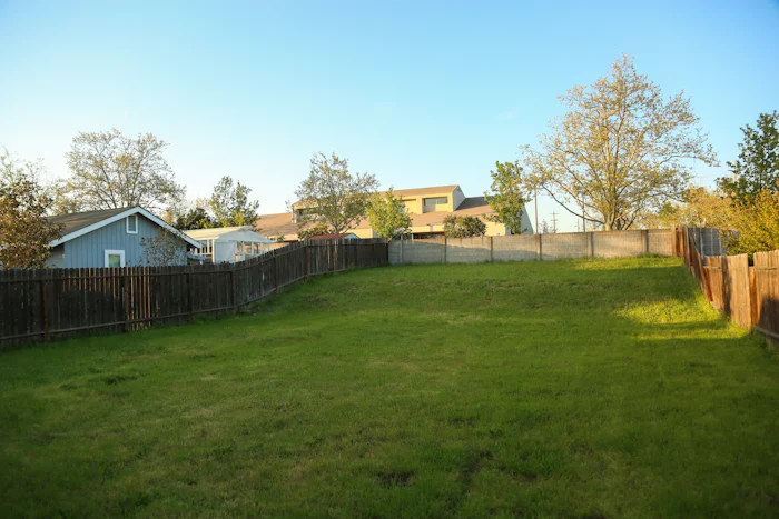 After: clean, cleared yard