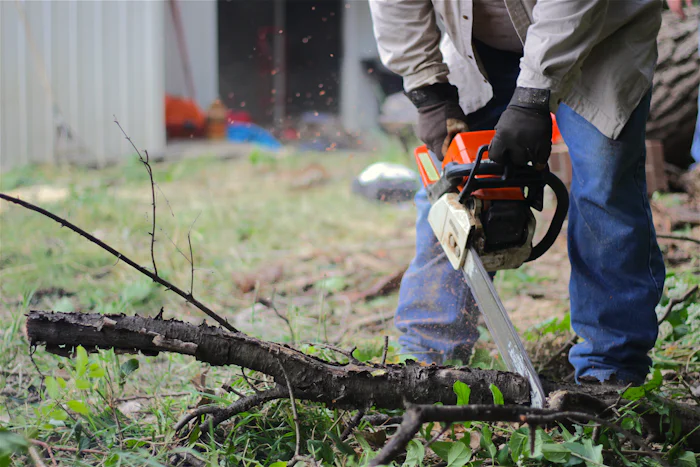 Chainsaw cutting through a large log